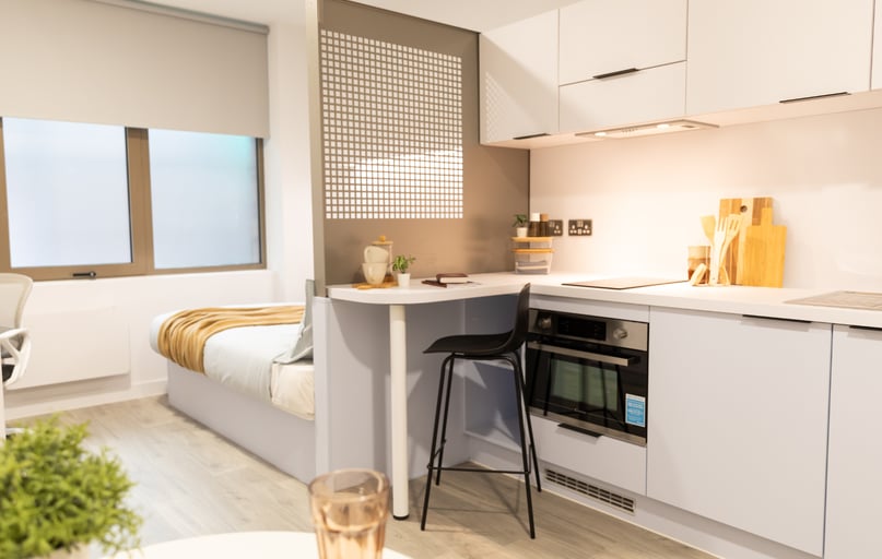 Deluxe Studio, Promenade Student Living, 5-8 London Road, The Level, Brighton - Image 1